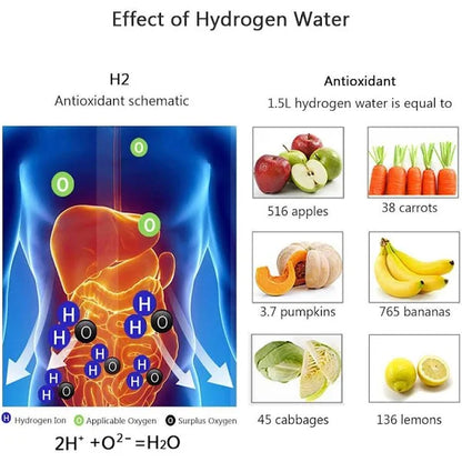 Hydrogen Water Bottle